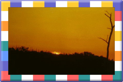 �t���[��